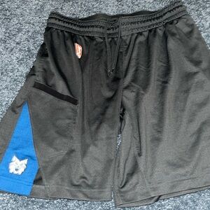 Minnesota lynxs shorts!